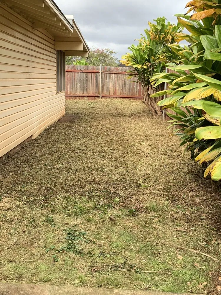 Expert landscape design for beautiful yards across Honolulu, HI - MK’s Yard Services