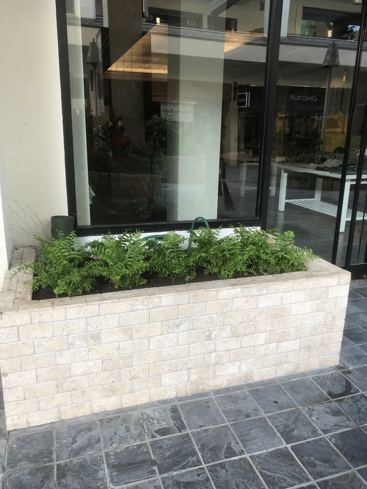 Expert yard cleanup service experts serving Honolulu, HI - MK’s Yard Services