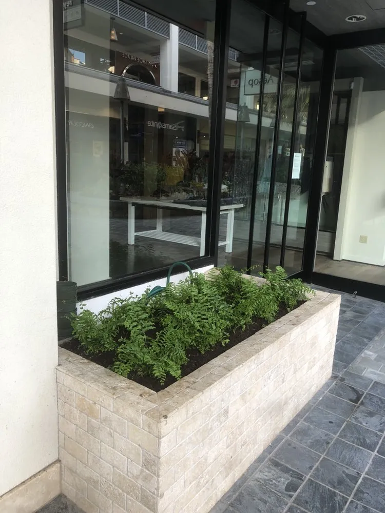 Local landscaping services in Honolulu, HI by MK’s Yard Services