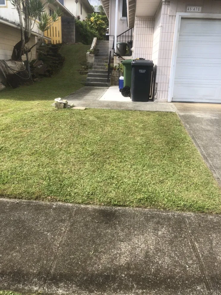 Professional yard cleanup service for residential properties across Honolulu, HI - MK’s Yard Services