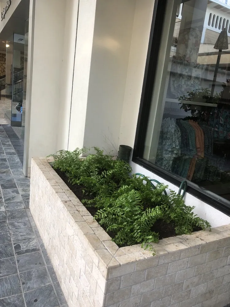 Professional garden landscaping in Honolulu, HI by MK’s Yard Services