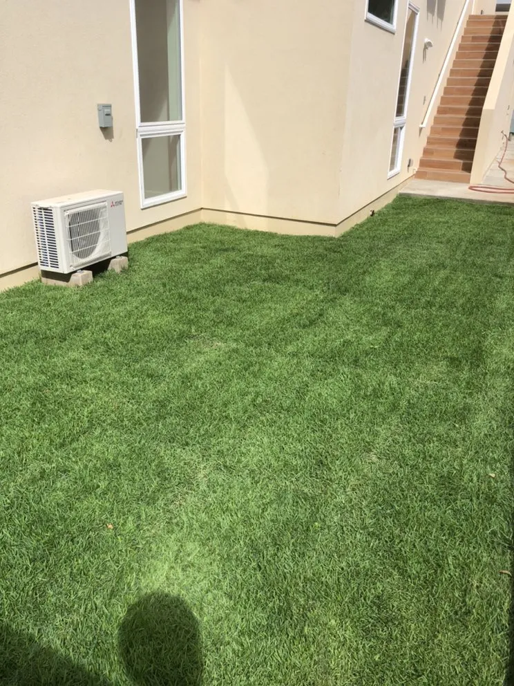 Top-rated yard cleanup service in Honolulu, HI by MK’s Yard Services