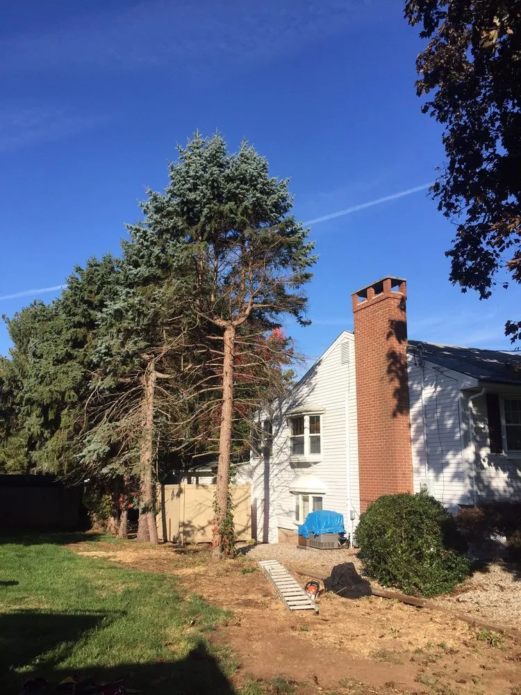 Reliable landscape installation with custom design in Hartford, CT by ML Jackson Landscaping