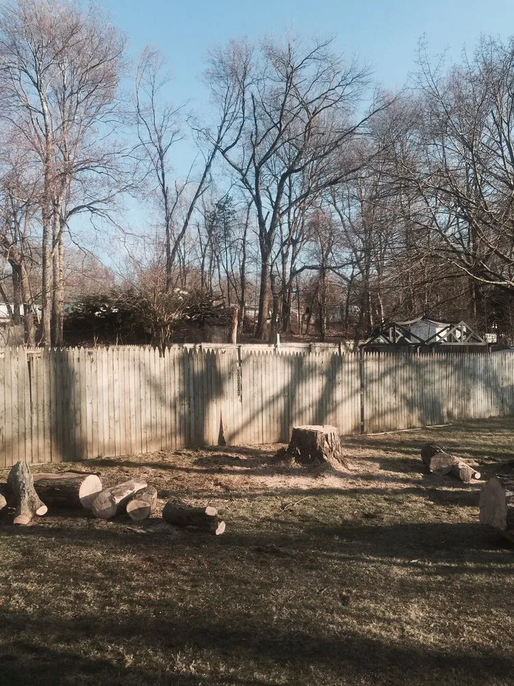 Reliable yard cleanup service in Hartford, CT by ML Jackson Landscaping