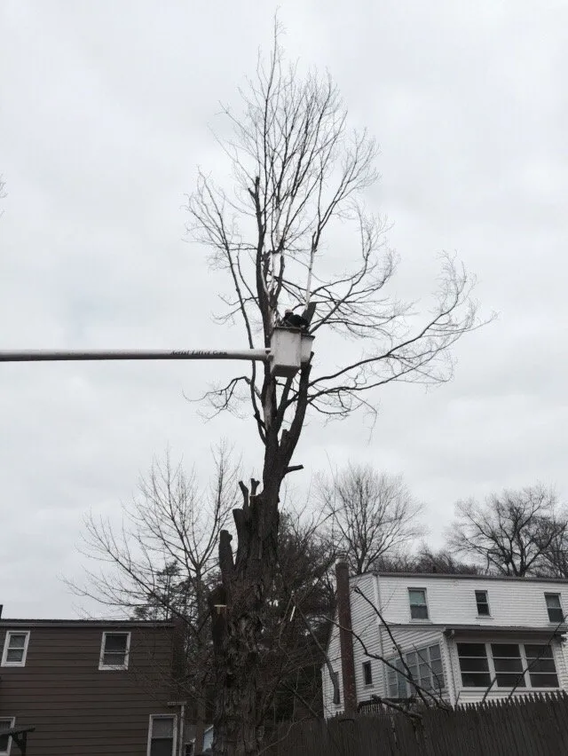 Top-rated lawn care service in Hartford, CT - ML Jackson Landscaping