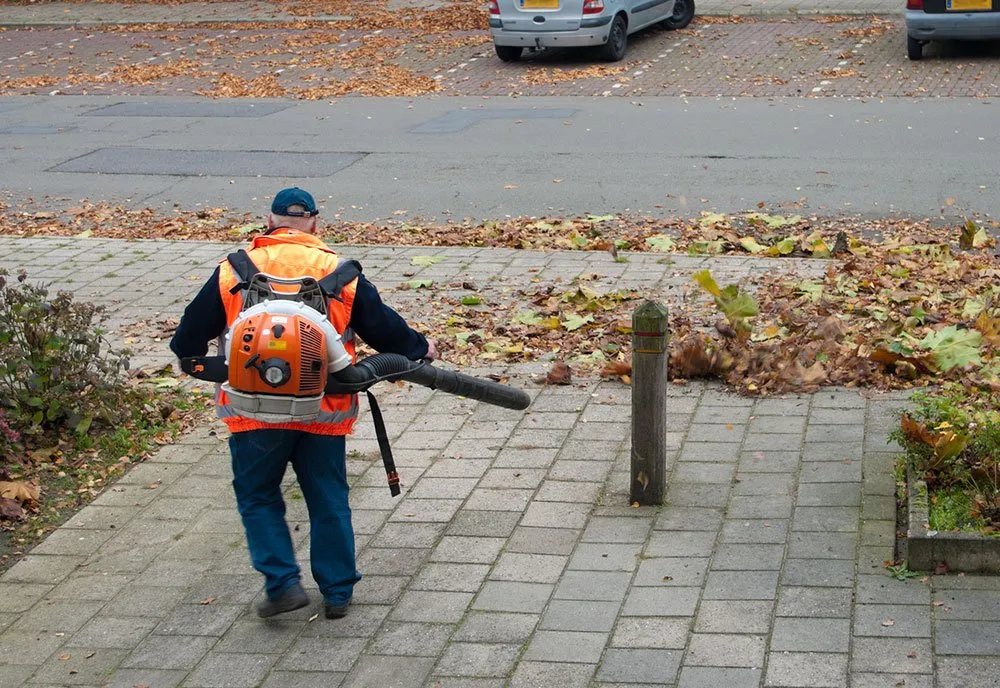 Affordable residential landscaping for homes across Hartford, CT - ML Jackson Landscaping