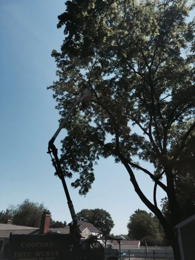 Affordable garden landscaping for homes in Hartford, CT by ML Jackson Landscaping