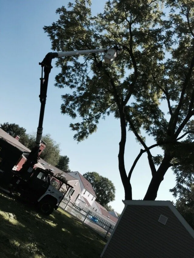 Trusted garden landscaping near you in Hartford, CT by ML Jackson Landscaping