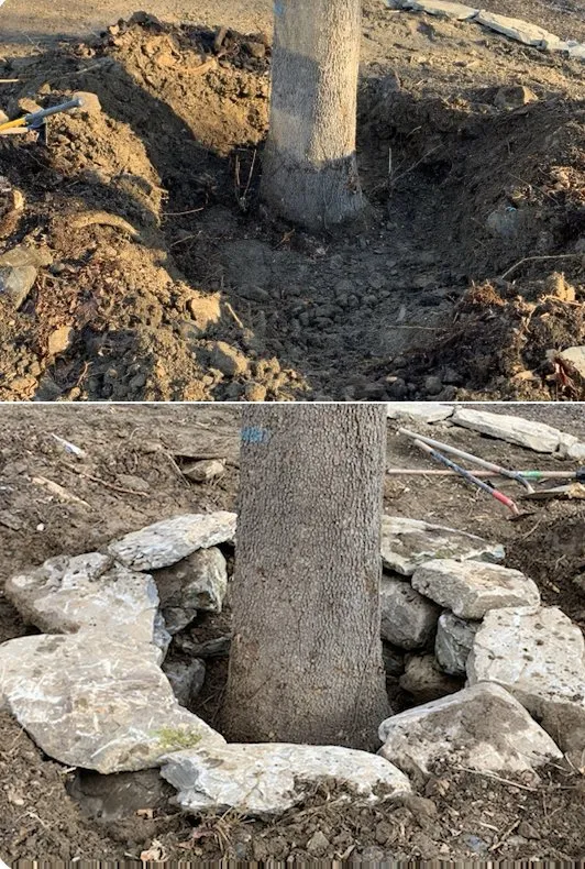 Reliable yard maintenance for residential properties in Poughkeepsie, NY by ML Landscaping & Excavation