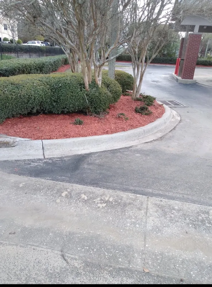 Top-rated lawn mowing service in Tallahassee, FL by M&L Landscaping and Maintenance