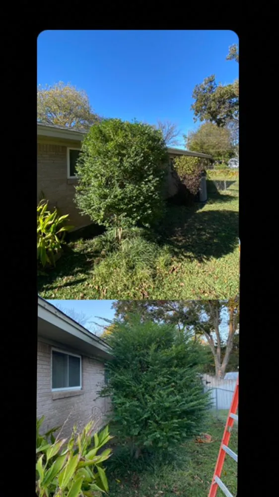 Custom lawn mowing service for beautiful yards across Ardmore, OK - M&L Landscaping