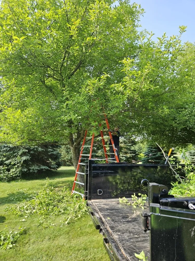 Professional landscape design experts serving Lafayette, IN - M&L Landscaping