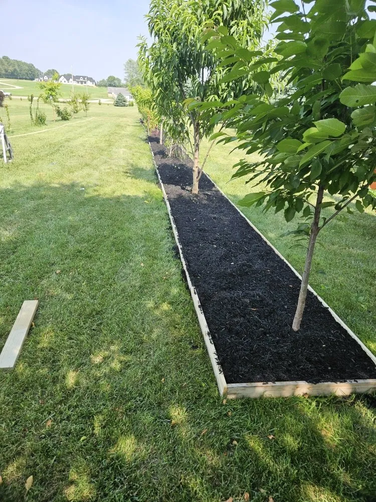 Local yard cleanup service in Lafayette, IN by M&L Landscaping