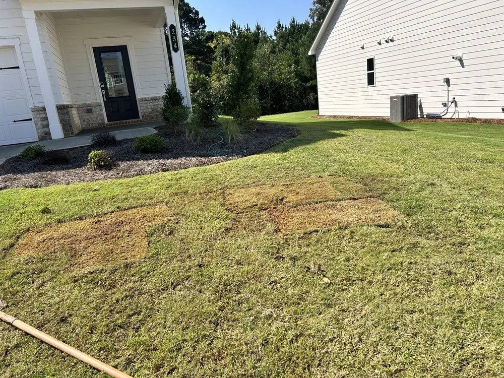 Top-rated landscape design experts serving Canton, GA - M&L Landscaping Services