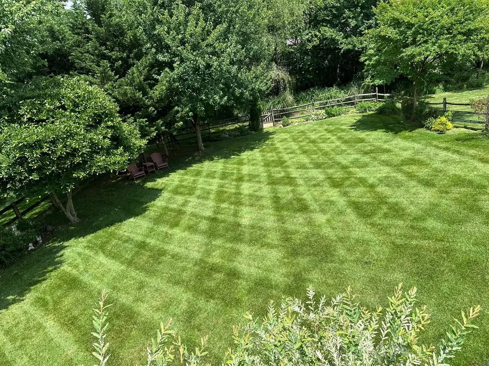 Reliable landscape design in Silver Spring, MD - ML Landscaping Services