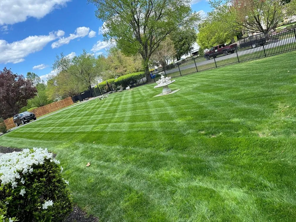 Affordable yard cleanup service for beautiful yards in Silver Spring, MD by ML Landscaping Services