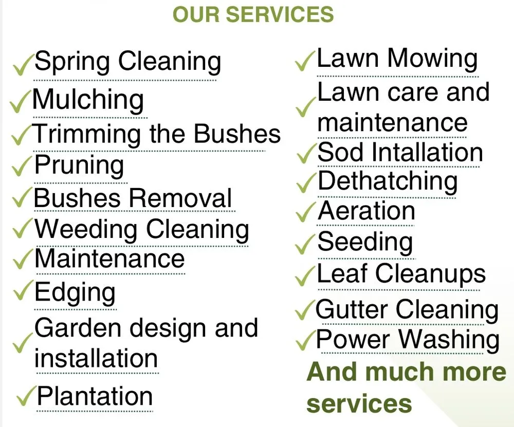 Professional yard cleanup service in Silver Spring, MD - ML Landscaping Services