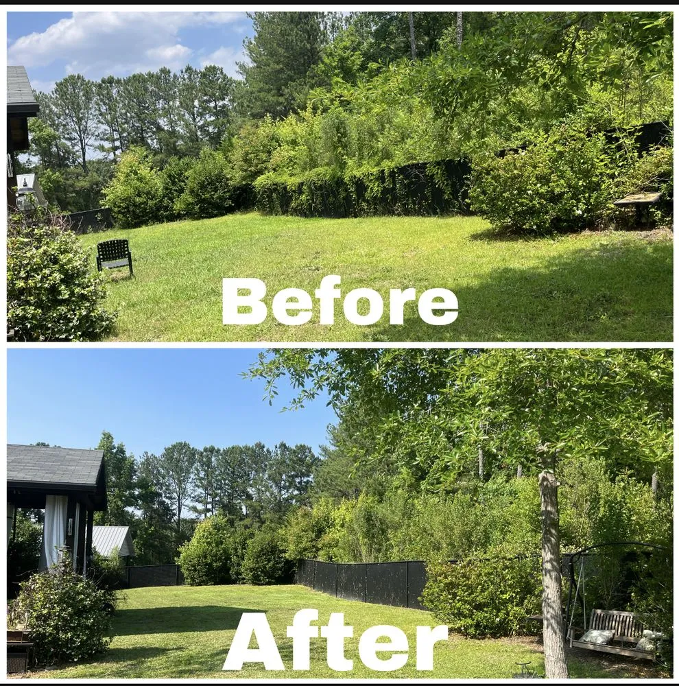 Reliable lawn care service for year-round maintenance in Sparta, GA by ML Landscaping