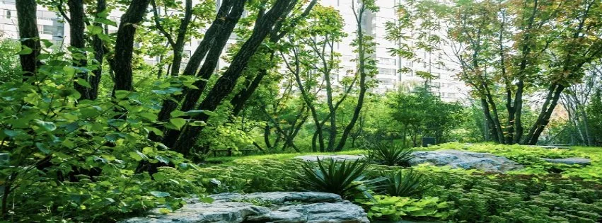 Local outdoor landscaping for year-round maintenance in Manassas, VA by ML Lawn and Landscaping