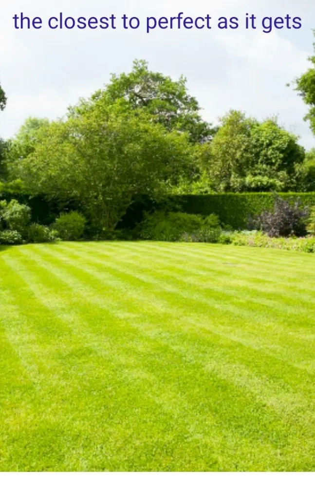 Reliable lawn care service for outdoor upgrades in Bloomburg, TX by M&L Lawn Care Service