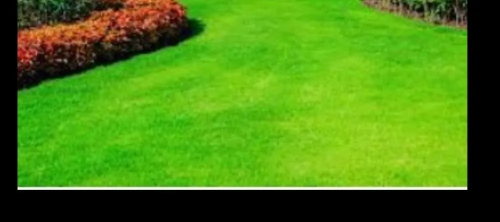 Expert yard maintenance for residential properties in Bloomburg, TX by M&L Lawn Care Service
