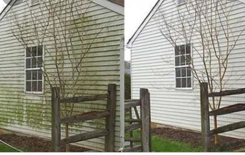 Expert yard maintenance in Bloomburg, TX - M&L Lawn Care Service