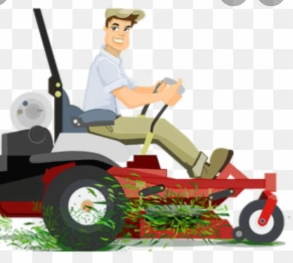 Local yard cleanup service for year-round maintenance across Bloomburg, TX - M&L Lawn Care Service