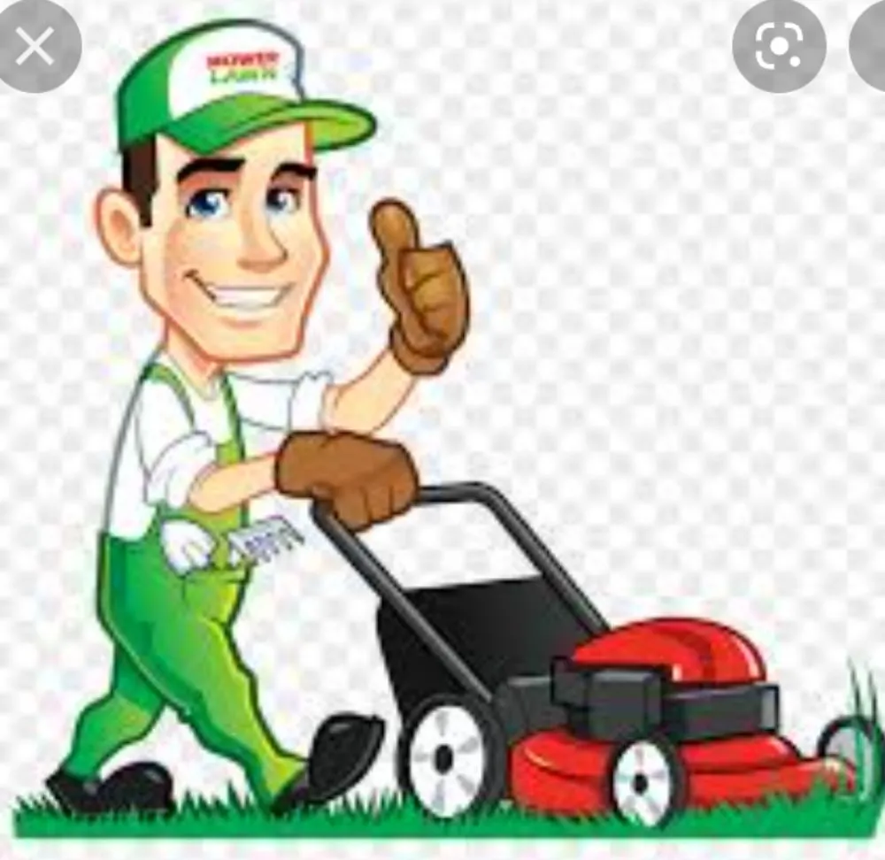Reliable yard maintenance experts serving Bloomburg, TX - M&L Lawn Care Service
