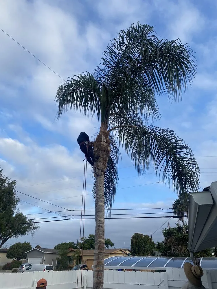 Custom residential landscaping near you in San Diego, CA by ML ProLandcare