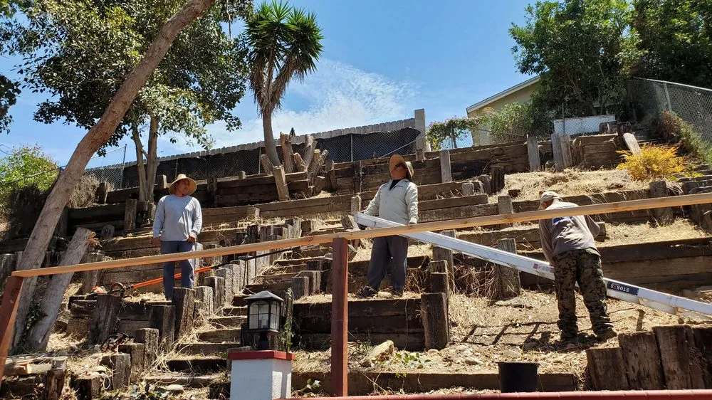 Professional lawn mowing service experts serving San Diego, CA - ML ProLandcare