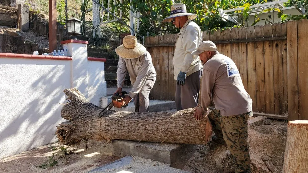 Top-rated garden landscaping for year-round maintenance in San Diego, CA by ML ProLandcare
