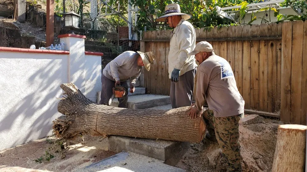 Professional outdoor landscaping in San Diego, CA - ML ProLandcare