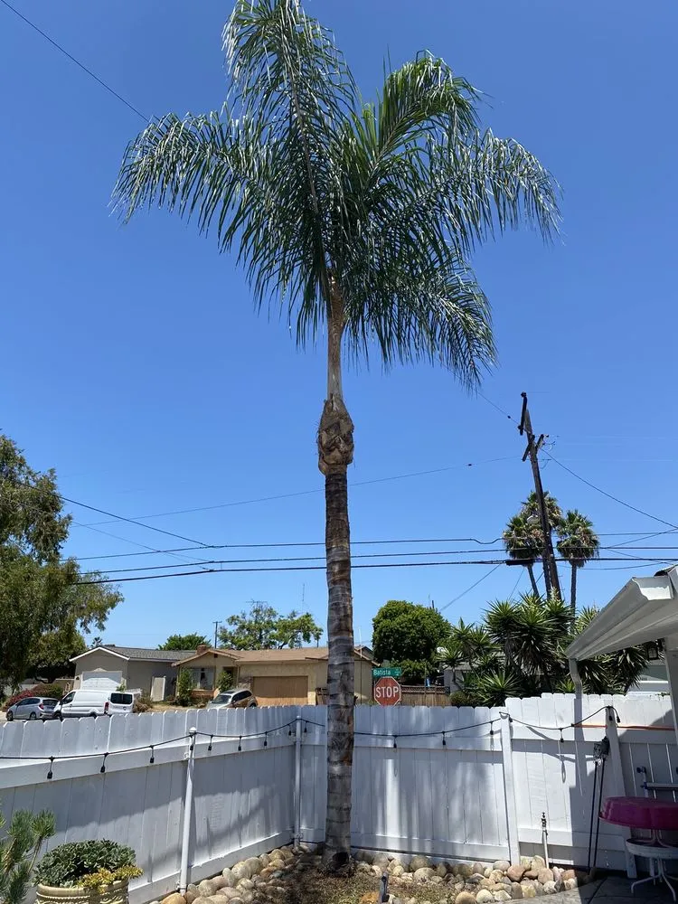 Affordable garden landscaping in San Diego, CA - ML ProLandcare