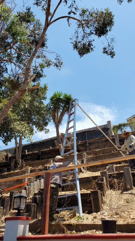 Reliable lawn mowing service in San Diego, CA by ML ProLandcare