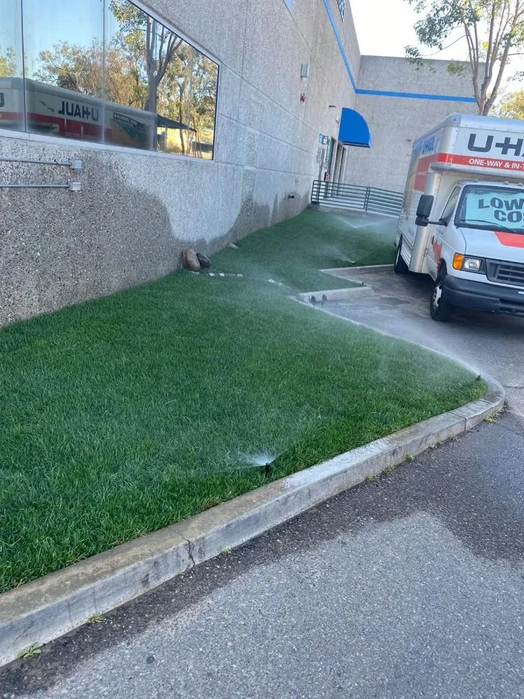 Trusted yard cleanup service in San Diego, CA by ML ProLandcare