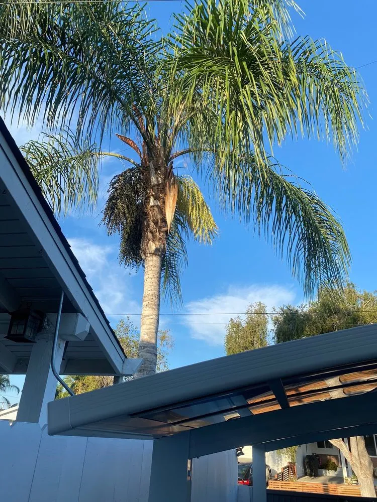 Top-rated landscape installation experts serving San Diego, CA - ML ProLandcare