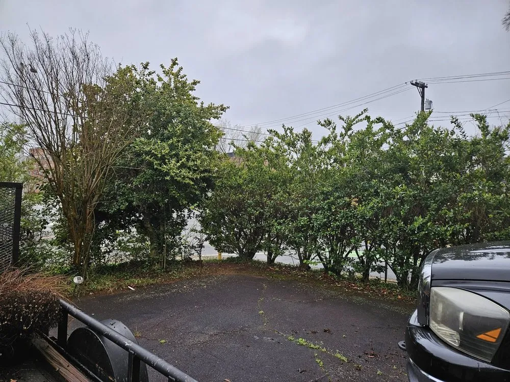 Local landscaping services with custom design in Austin, TX by ML Services