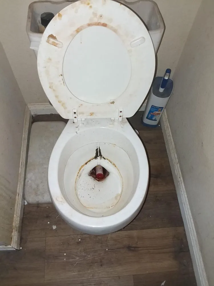 Professional landscape design in Austin, TX - ML Services