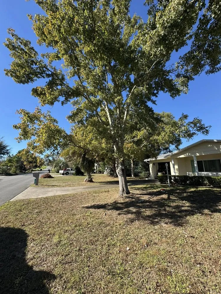 Custom garden landscaping experts serving Austin, TX - ML Services