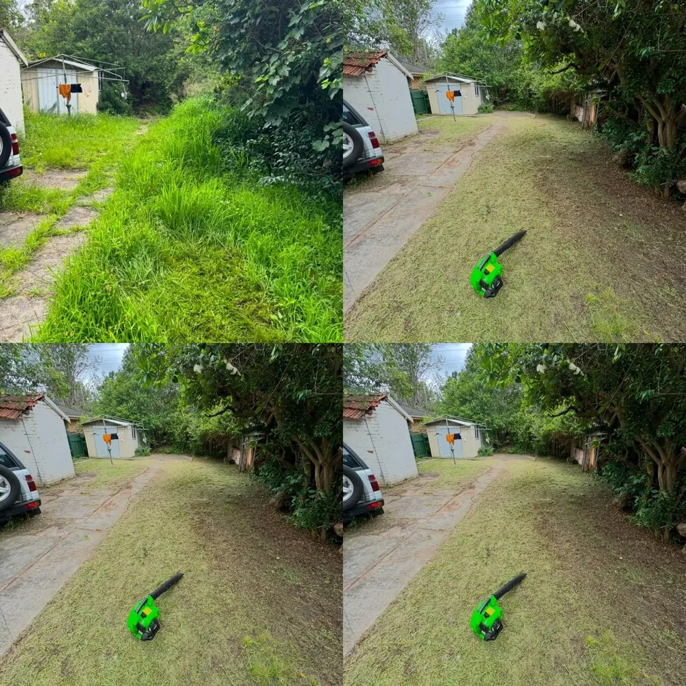 Affordable landscape design near you in Austin, TX by ML Services