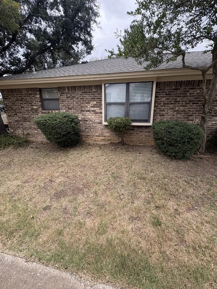 Professional landscape design experts serving Trophy Club, TX - Mlawns