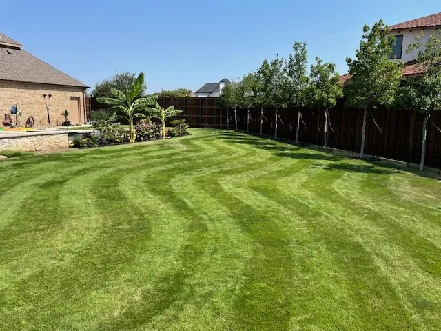 Top-rated landscape installation in Trophy Club, TX - Mlawns