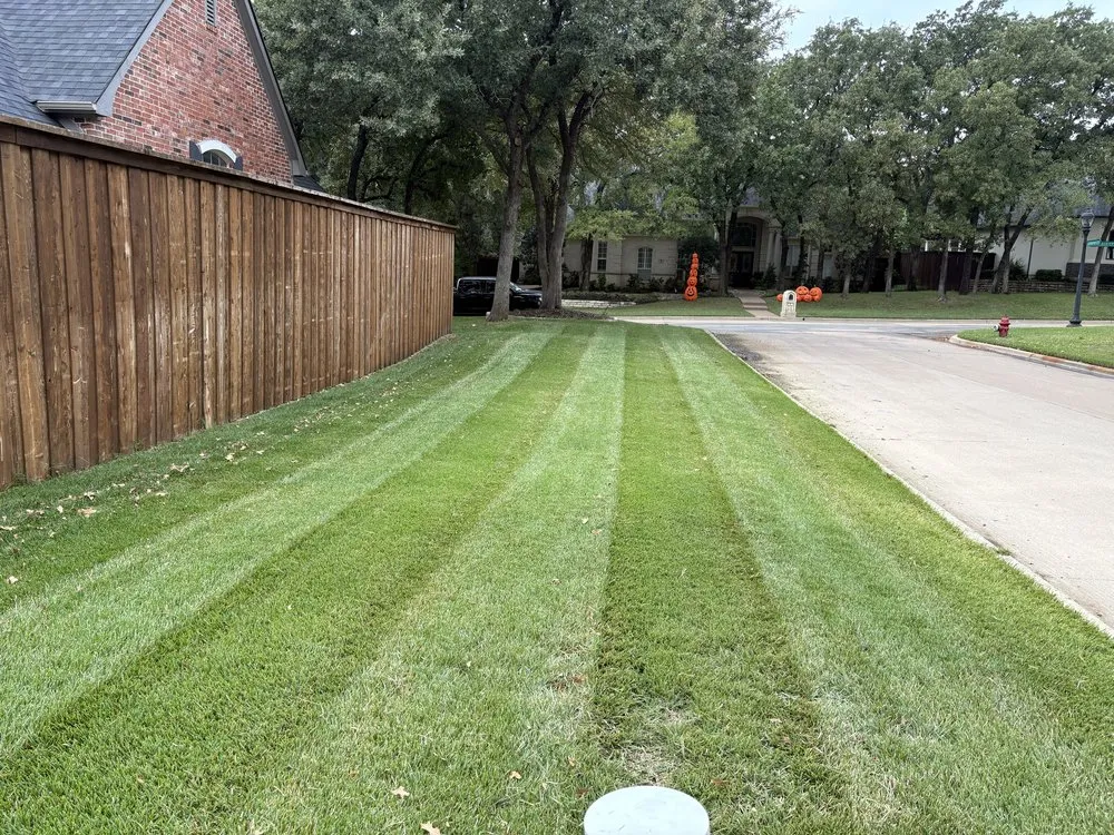 Affordable lawn care service in Trophy Club, TX by Mlawns