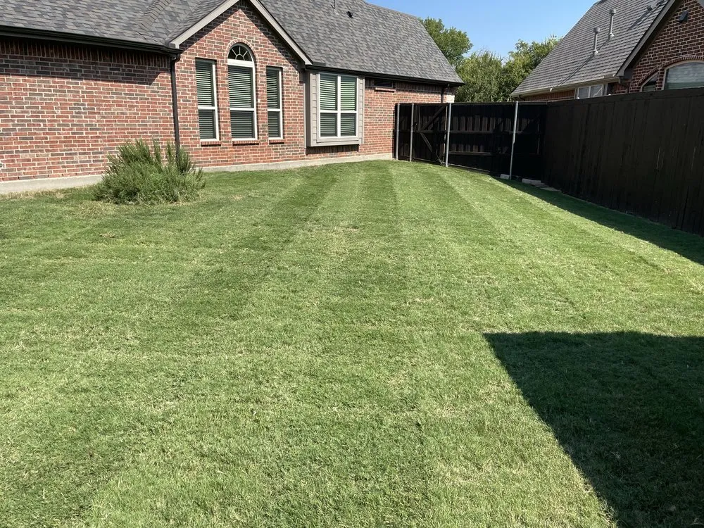 Expert yard cleanup service for homes in Trophy Club, TX by Mlawns