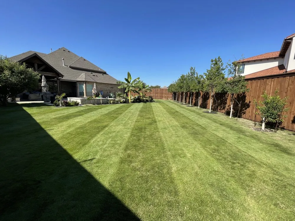Reliable landscape design near you in Trophy Club, TX by Mlawns
