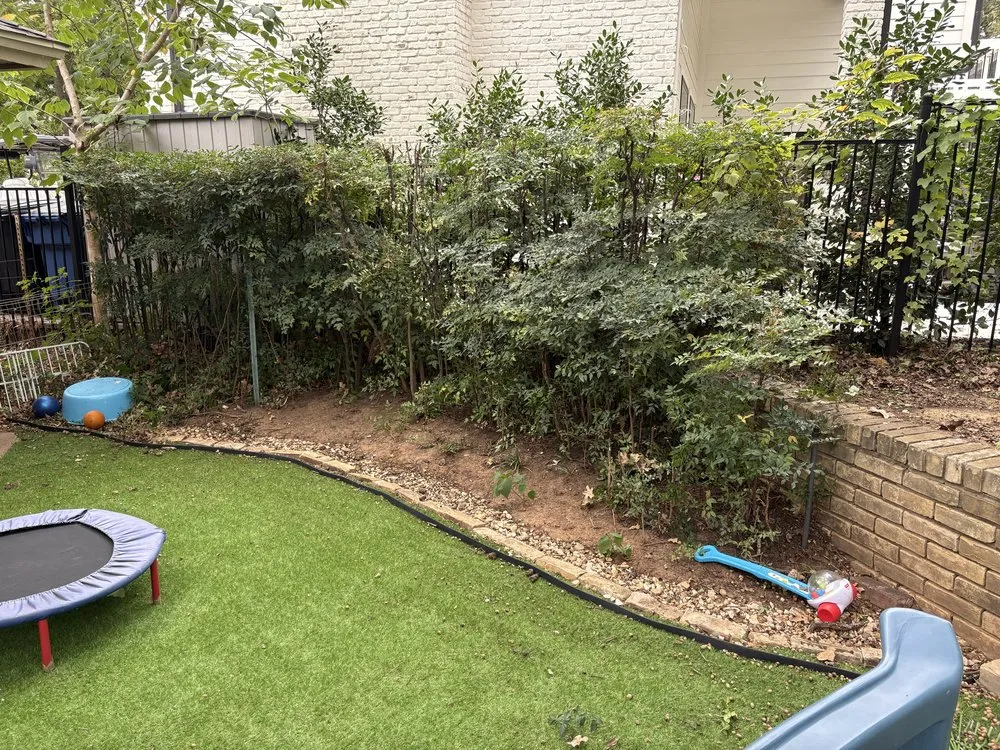 Local yard maintenance in Trophy Club, TX by Mlawns