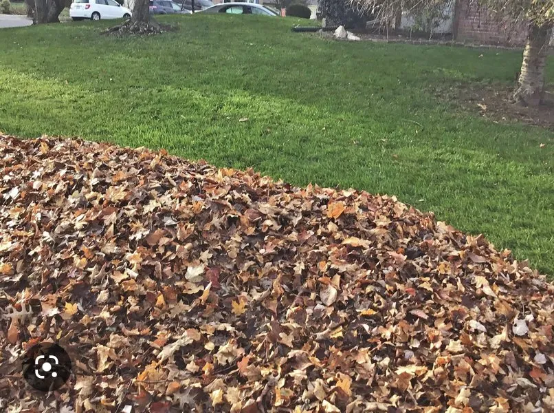 Affordable landscaping services for beautiful yards in Keansburg, NJ by MLB Landscape Services