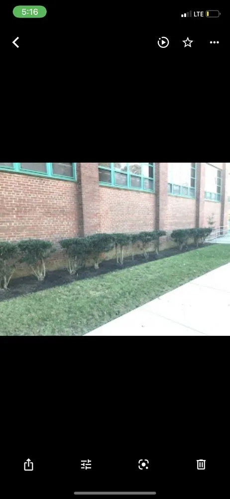 Trusted yard cleanup service for year-round maintenance across Keansburg, NJ - MLB Landscape Services