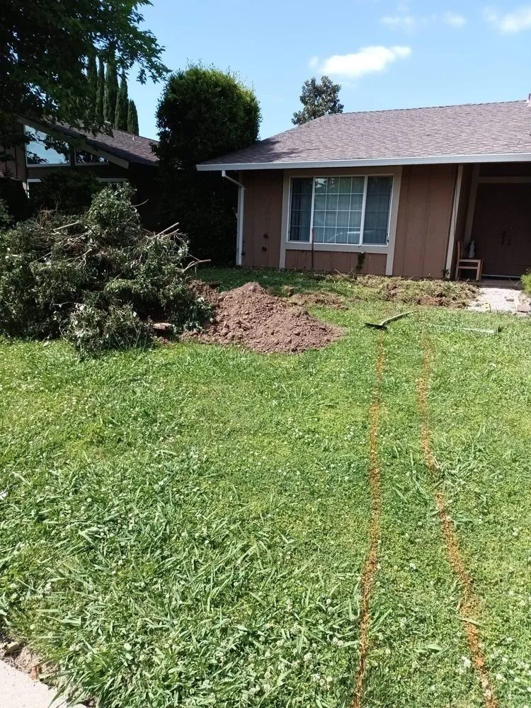 Affordable landscaping services experts serving Sacramento, CA - MLC Landscape