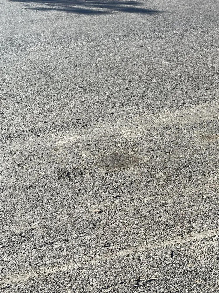 Top-rated lawn mowing service for year-round maintenance in Sacramento, CA by MLC Landscape